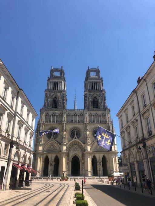 Ferienwohnung Le Domremy F2 Au Coeur D'Orléans Exterior foto